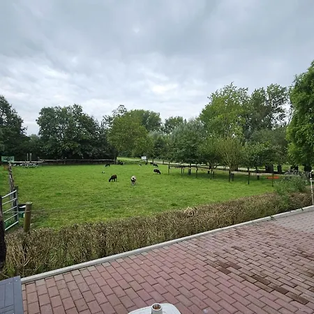 Landelijke Huis In De Betuwe