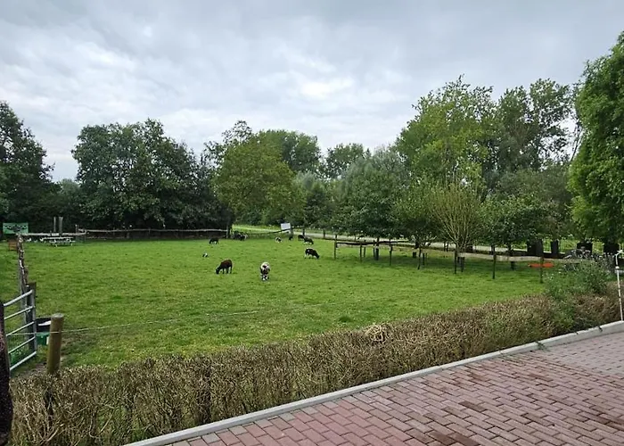 Landelijke In De Betuwe